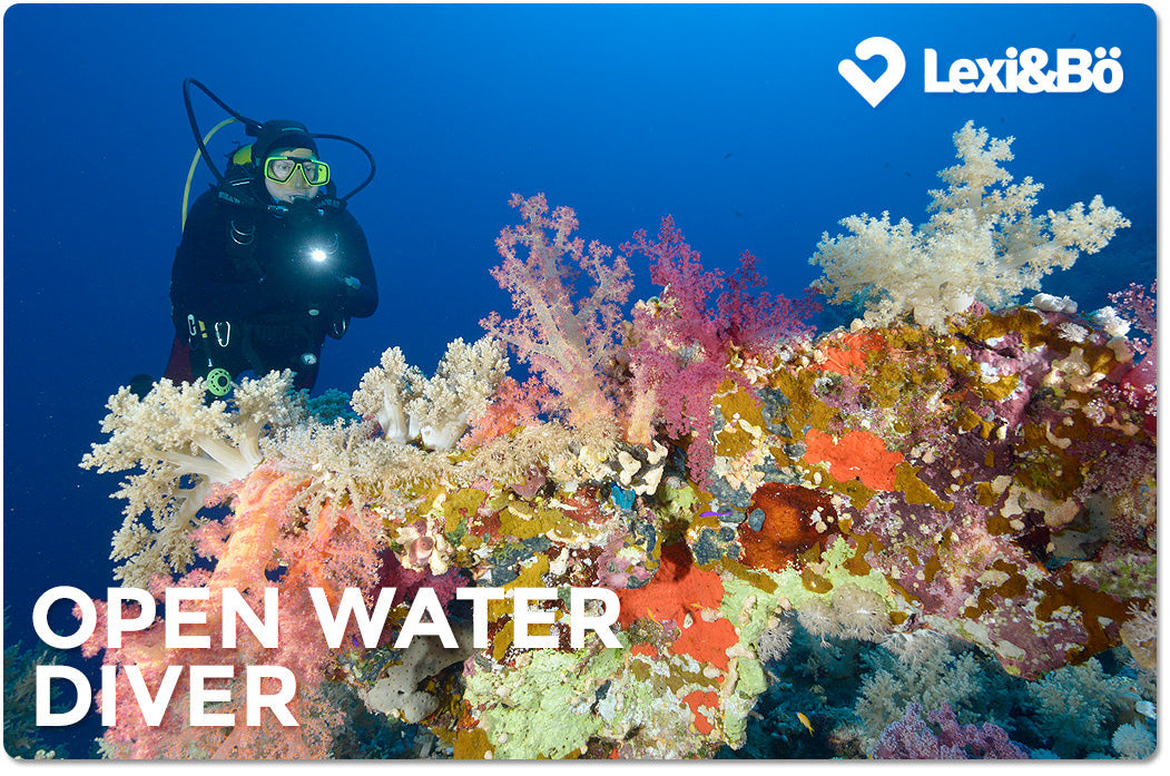 Open Water Diver - Wissenswertes über den beliebtesten Tauchschein der Welt