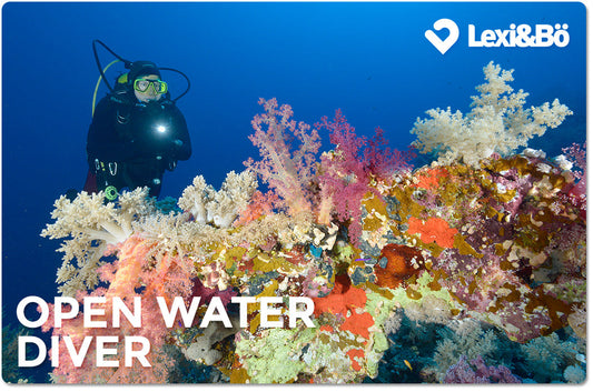 Open Water Diver - Wissenswertes über den beliebtesten Tauchschein der Welt