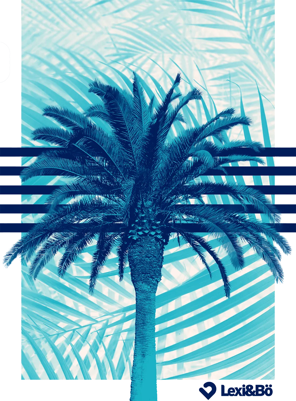 Palm Tree